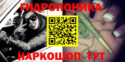 мяу мяу мука Кулебаки